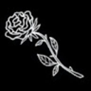 Meet your Posher, Shadow_playz